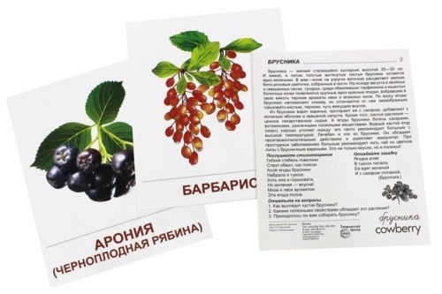 Дем. картинки СУПЕР ЯГОДЫ.16 демонстр.картинок с текстом(173х220мм)- купить в магазине Кассандра, фото, 9785994909898, 