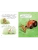 Импортировано из Wildberries Импортировано из Wildberries