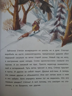 Импортировано из Wildberries