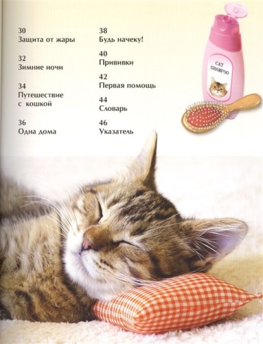 Кошки и котята. Детская энциклопедия- купить в магазине Кассандра, фото, 9785353069126, 