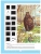 Импортировано из Wildberries Импортировано из Wildberries