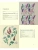 Импортировано из Wildberries Импортировано из Wildberries