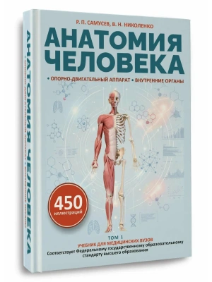 Анатомия человека. Опорно-двигательный аппарат, внутренние органы — фото, ISBN 9785171891077