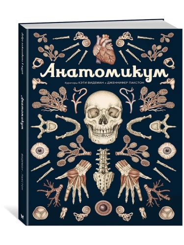 Анатомикум- купить в магазине Кассандра, фото, 9785389165120, 