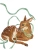 Импортировано из Wildberries Импортировано из Wildberries