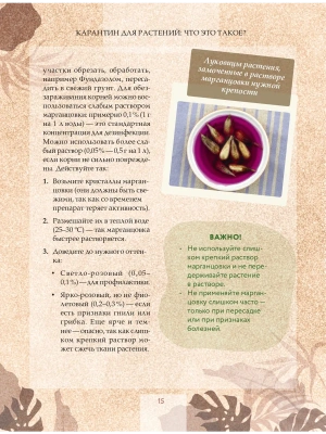 Импортировано из Wildberries