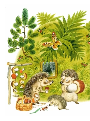 Импортировано из Wildberries