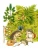 Импортировано из Wildberries
