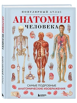 Анатомия человека. Популярный атлас. Самые подробные анатомические изображения - купить в магазине Кассандра, фото, 9785041980351, 