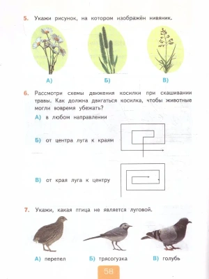 Импортировано из Wildberries
