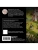 Импортировано из Wildberries Импортировано из Wildberries