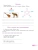Импортировано из Wildberries Импортировано из Wildberries