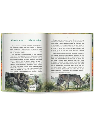 Импортировано из Wildberries