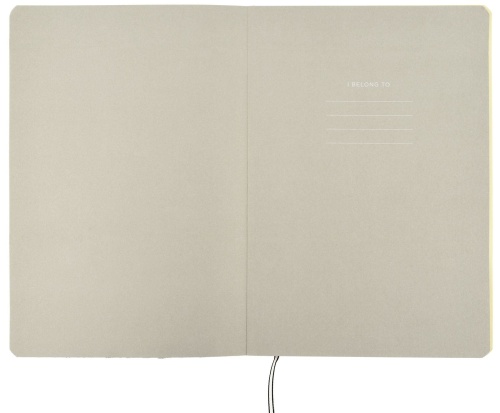 Книжка зап. А5 серый с блестками 96 л. лин. LOREX REPTILE инт. обл.- купить в магазине Кассандра, фото, 4602723144120, 
