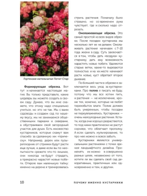 Фотография из отзыва покупателя