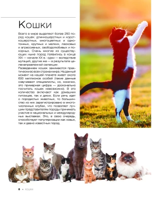 Фотография из отзыва покупателя