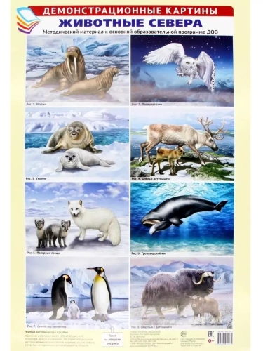 Демонстрационные картины АЗ. Животные Севера. Методический материал к основной образовательной прогр- купить в магазине Кассандра, фото, 9785994922071, 