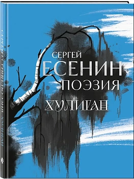 Сергей Есенин. Поэзия. Хулиган - купить в магазине Кассандра, фото, 9785042082658, 
