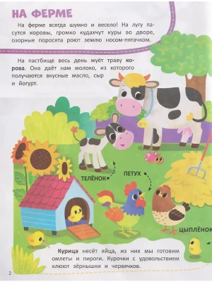 Импортировано из Wildberries