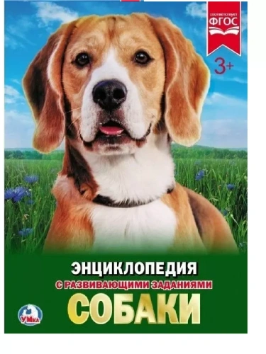 Энциклопедия.СОБАКИ- купить в магазине Кассандра, фото, 9785506023364, 