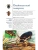 Импортировано из Wildberries Импортировано из Wildberries