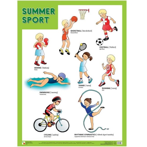 Плакаты (англ). Summer Sport (Летние виды спорта)- купить в магазине Кассандра, фото, 9785431510083, 