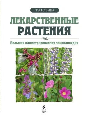 Фотография из отзыва покупателя
