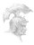 Импортировано из Wildberries Импортировано из Wildberries