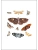 Импортировано из Wildberries Импортировано из Wildberries