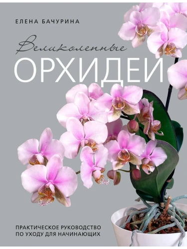 Великолепные орхидеи. Практичное руководство по уходу для начинающих- купить в магазине Кассандра, фото, 9785041994457, 