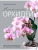 Великолепные орхидеи. Практичное руководство по уходу для начинающих- купить в магазине Кассандра, 9785041994457, Великолепные орхидеи. Практичное руководство по уходу для начинающих- купить в магазине Кассандра, фото, 9785041994457,