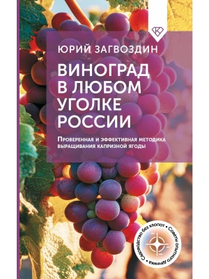 Фотография из отзыва покупателя