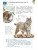 Импортировано из Wildberries Импортировано из Wildberries