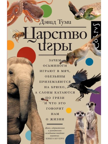 Царство игры- купить в магазине Кассандра, фото, 9785171667894, 