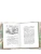 Импортировано из Wildberries Импортировано из Wildberries