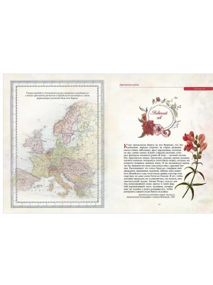 Импортировано из Wildberries