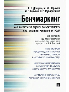 Бенчмаркинг как инструмент оценки эффективности системы внутреннего контроля. Монография — фото, ISBN 9785392388288
