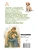 Импортировано из Wildberries Импортировано из Wildberries