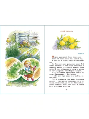 Импортировано из Wildberries