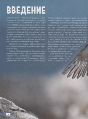 Красная книга мира. Млекопитающие, птицы, рептилии, амфибии, рыбы- купить в магазине Кассандра, фото, 9785041550677, 
