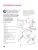 Импортировано из Wildberries Импортировано из Wildberries