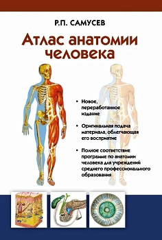 Атлас анатомии человека. Учебное пособие для студентов учреждений среднего профессионального образов — фото, ISBN 9785170839476
