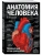 Импортировано из Wildberries Импортировано из Wildberries