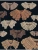 Импортировано из Wildberries Импортировано из Wildberries