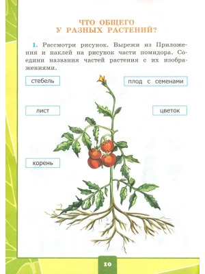 Импортировано из Wildberries