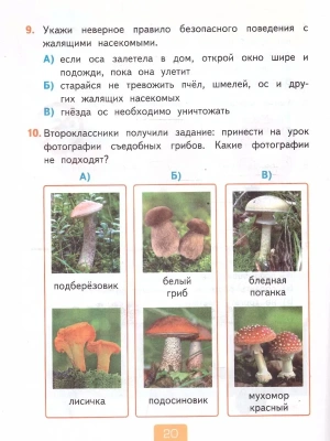 Импортировано из Wildberries