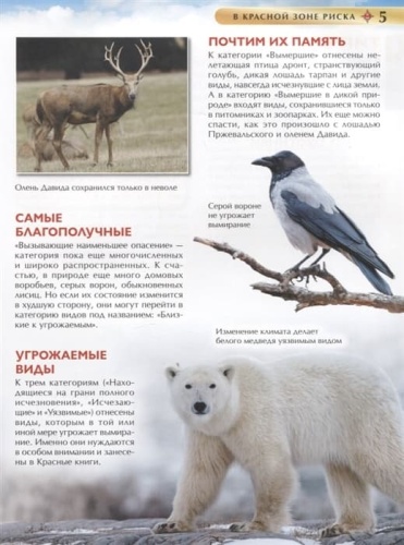 Красная книга. Детская энциклопедия- купить в магазине Кассандра, фото, 9785353102922, 