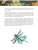 Импортировано из Wildberries Импортировано из Wildberries