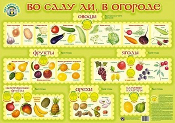 Маленький гений.Плакат.Во саду ли,в огороде - купить в магазине Кассандра, фото, 4607054090283, 