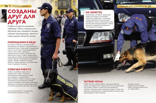 Собаки и щенки. Детская энциклопедия- купить в магазине Кассандра, фото, 9785353069133, 